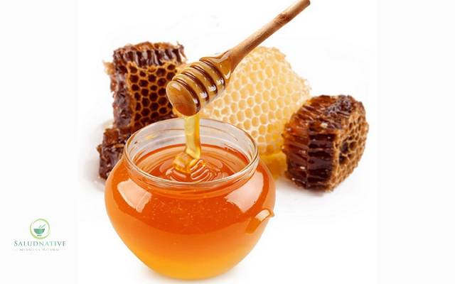 miel de abeja para ulcera gastrica