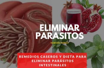 Remedios caseros y dieta para eliminar parásitos intestinales