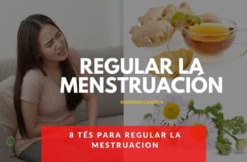 8 Tés Para regular la Menstruación